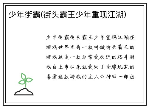 少年街霸(街头霸王少年重现江湖)